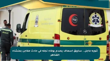 تنويه عاجل.. سائق إسعاف يصدم بوفاة نجله في حادث مفاجئ بمنشأة القناطر